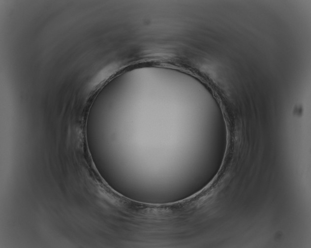 X0000093461354200710191115