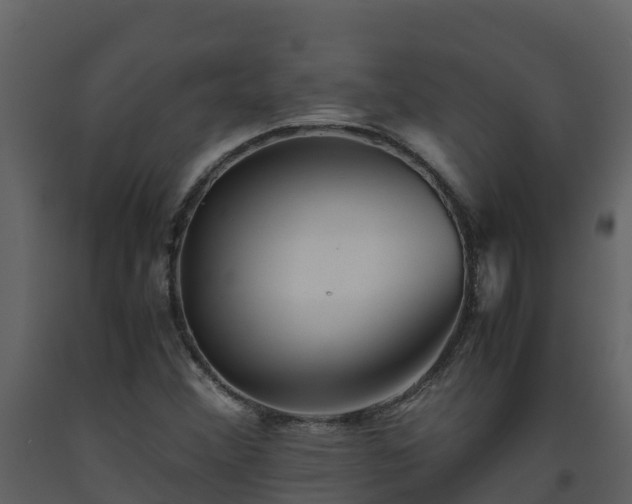 X0000093461356200710191115