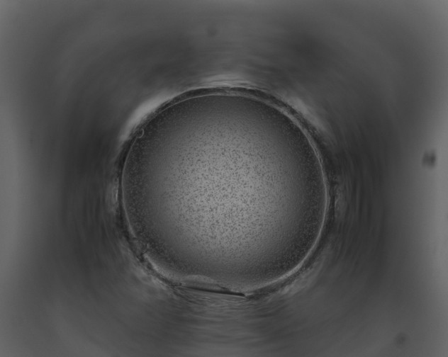 X0000093461358200710191115