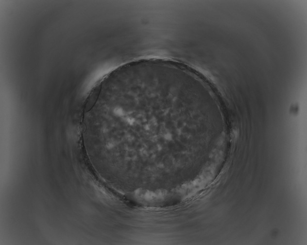 X0000093461359200710191115