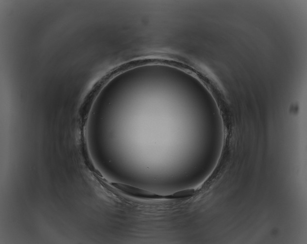 X0000093461360200710191115