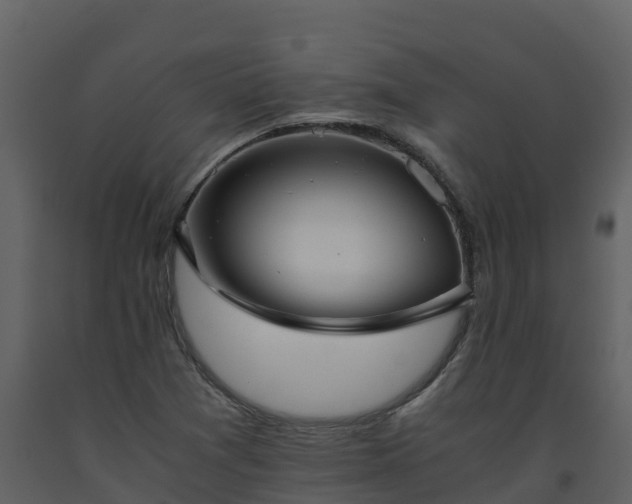 X0000093461361200710191115