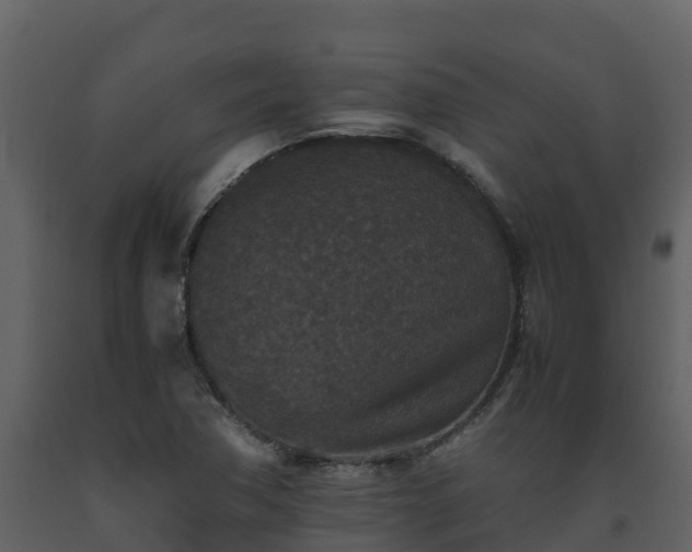 X0000093461362200710191115