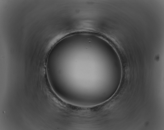 X0000093461363200710191115