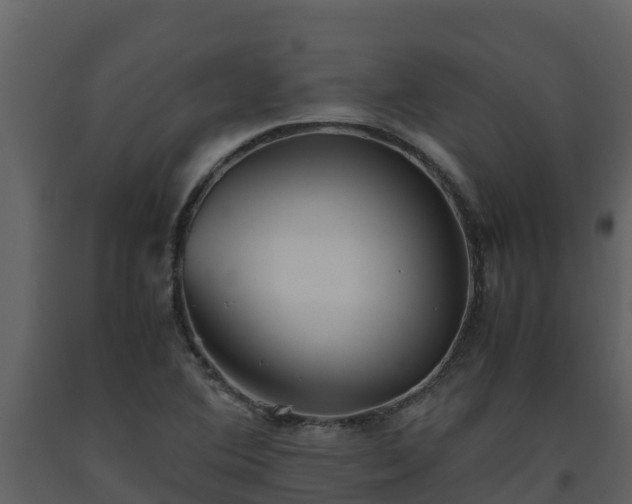 X0000093461364200710191115