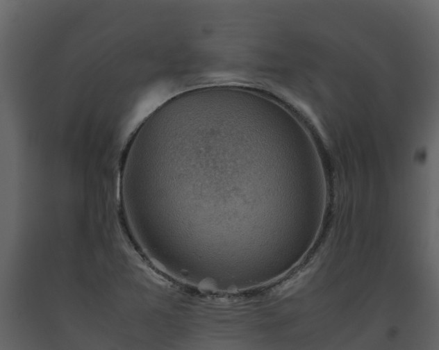 X0000093461365200710191115