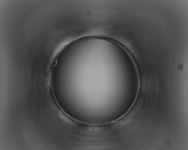 X0000093461366200710191115