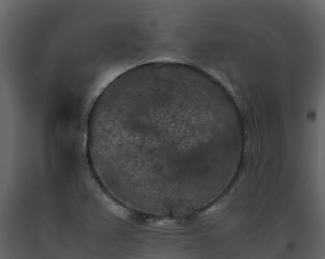 X0000093461367200710191115