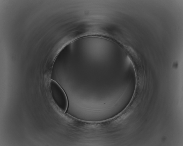 X0000093461369200710191115