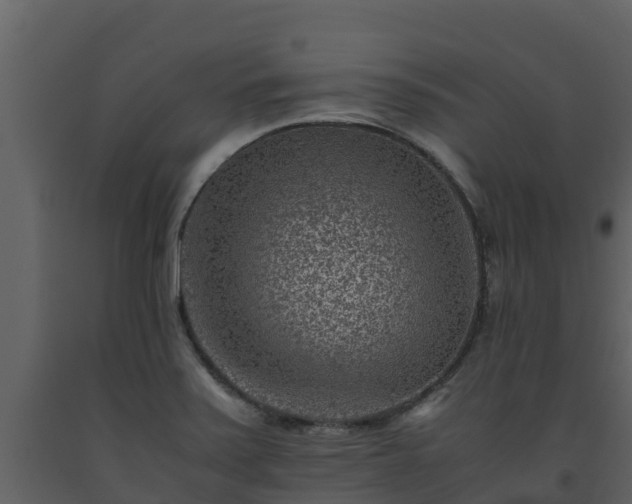 X0000093461371200710191115