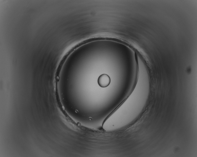 X0000093461372200710191115