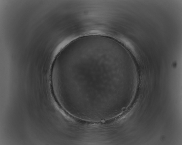 X0000093461373200710191115