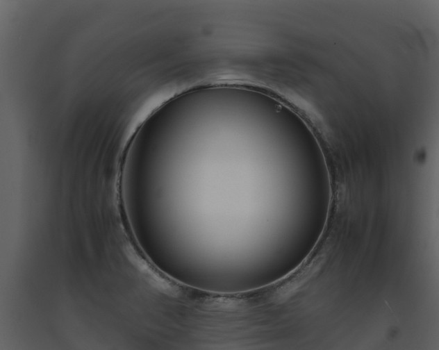 X0000093461374200710191115