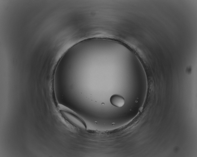 X0000093461375200710191115