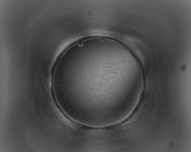 X0000093461376200710191115