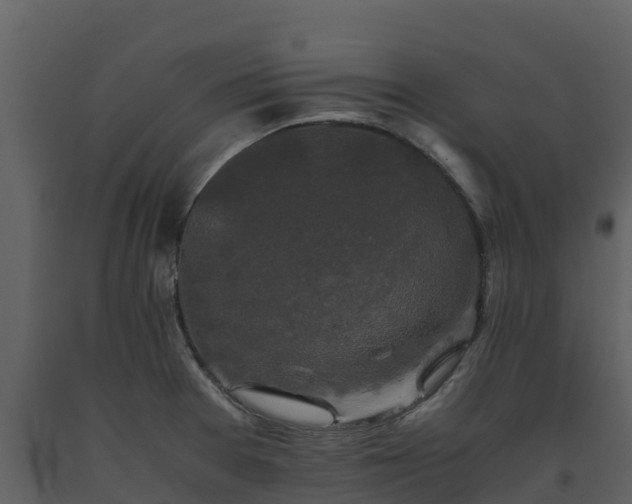 X0000093461377200710191115