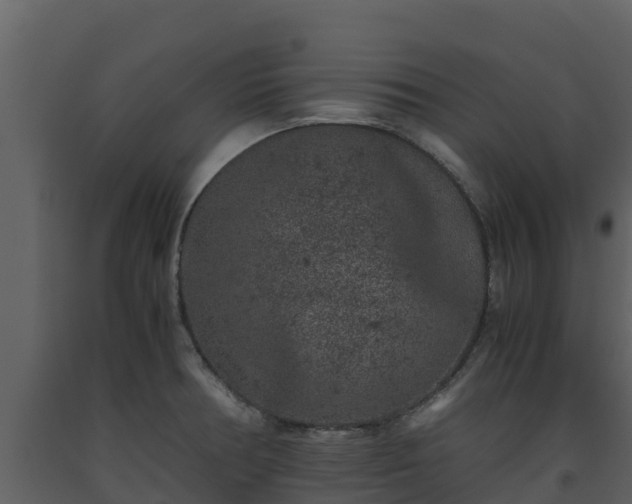 X0000093461378200710191115