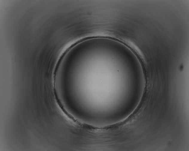 X0000093461380200710191115