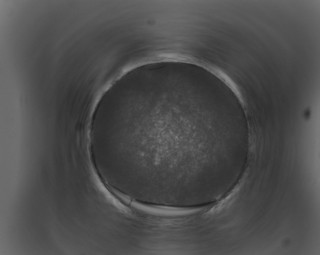 X0000093461381200710191115