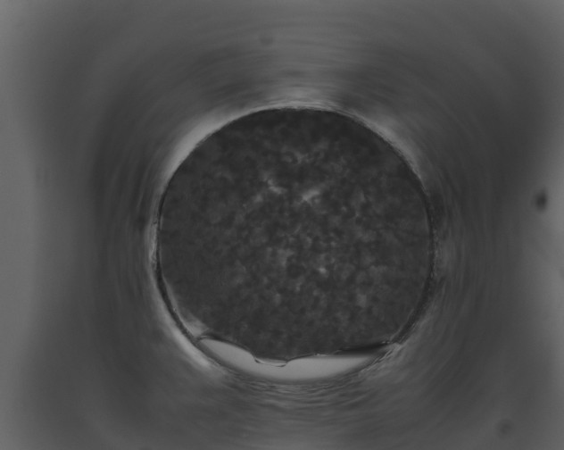 X0000093461383200710191115