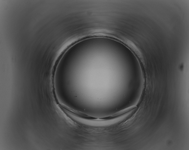 X0000093461384200710191115