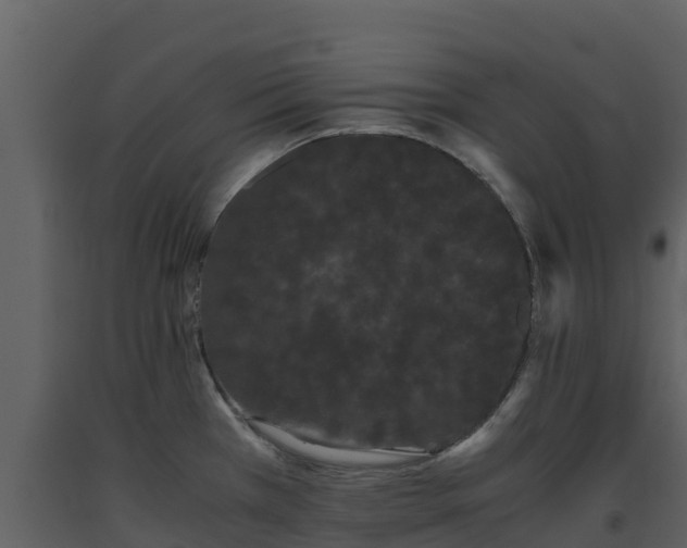 X0000093461385200710191115