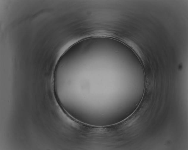 X0000093461387200710191115