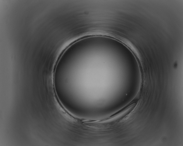 X0000093461388200710191115