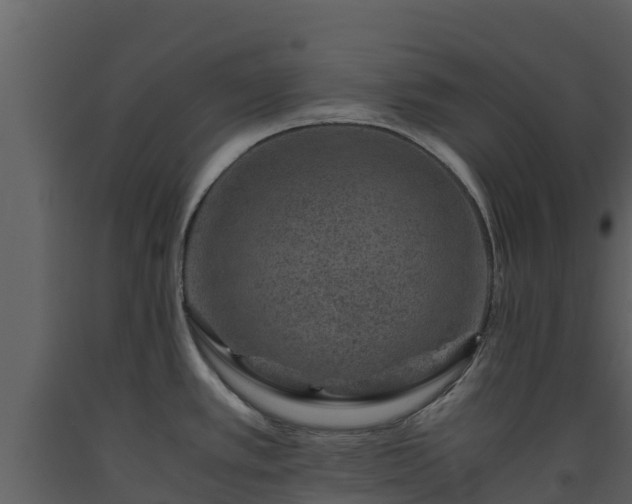 X0000093461389200710191115