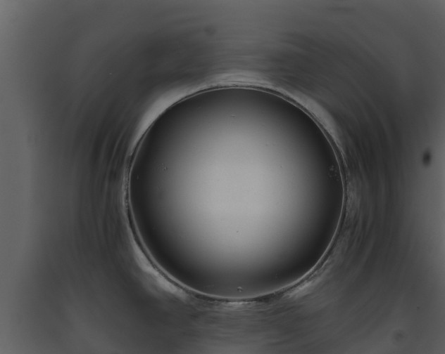 X0000093461390200710191115