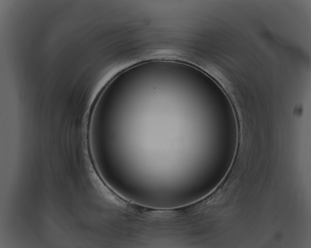 X0000093461392200710191115