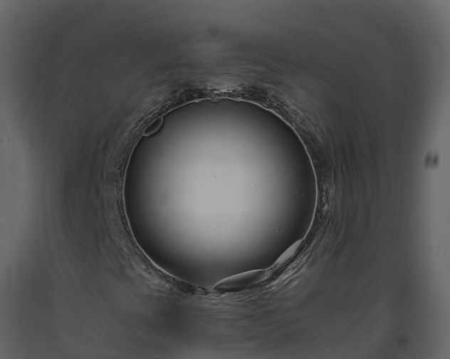 X0000093461393200710191114