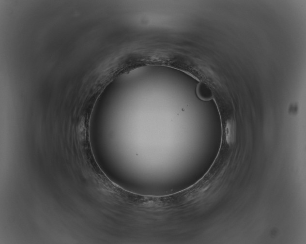 X0000093461395200710191114