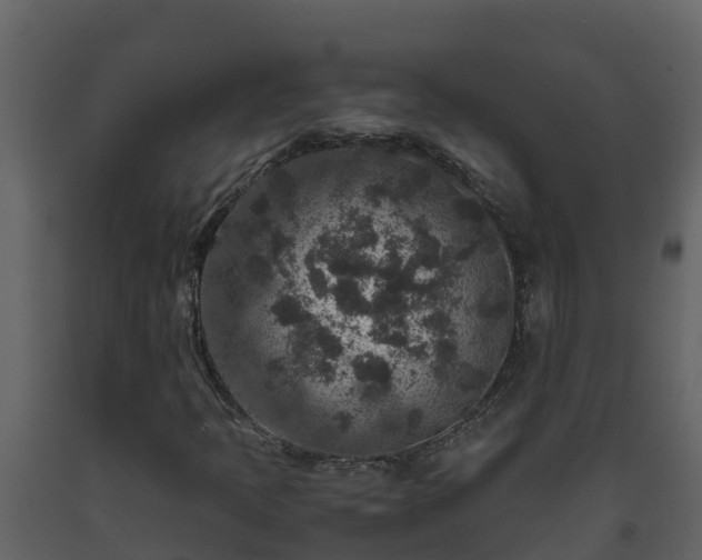 X0000093461397200710191114