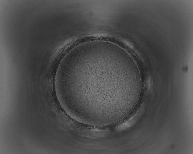 X0000093461398200710191114