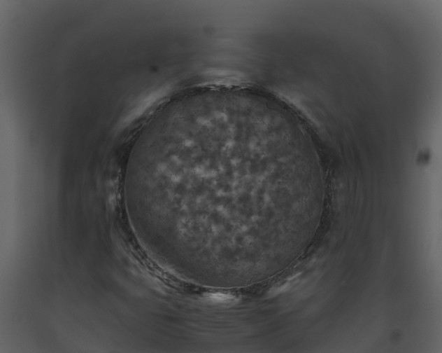 X0000093461399200710191114