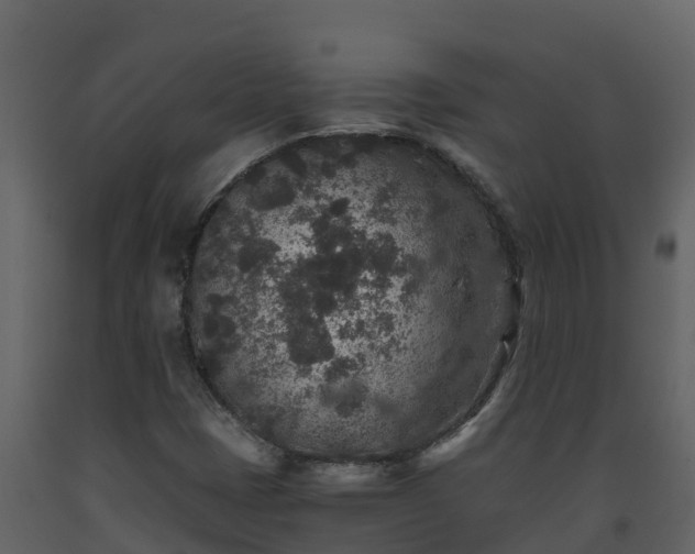 X0000093461401200710191114