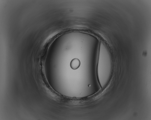 X0000093461402200710191114