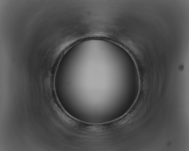 X0000093461404200710191114