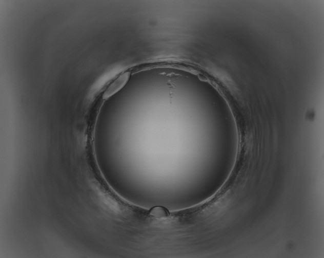 X0000093461406200710191114