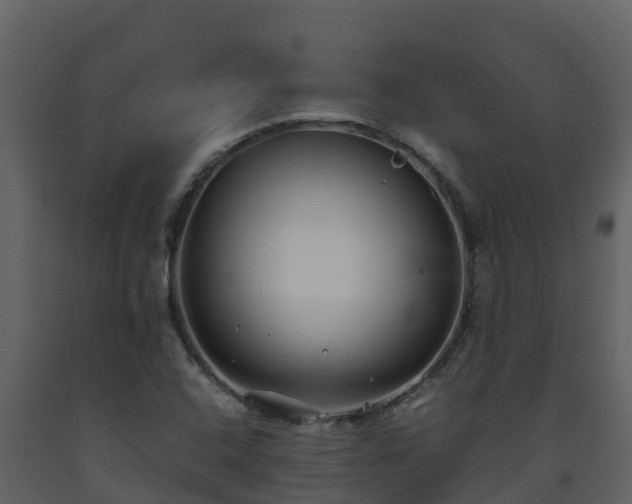 X0000093461408200710191114