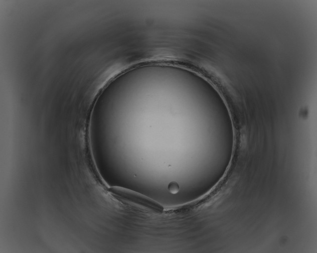 X0000093461409200710191114