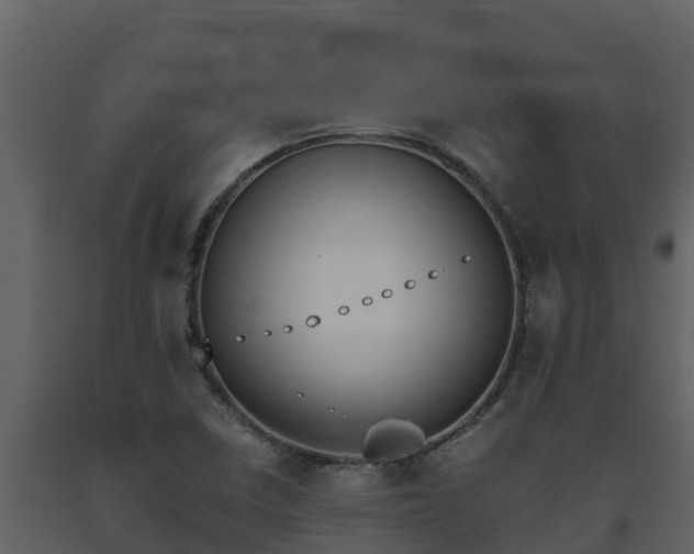 X0000093461410200710191114