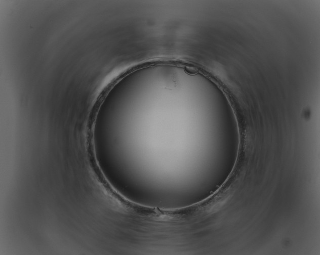 X0000093461412200710191114