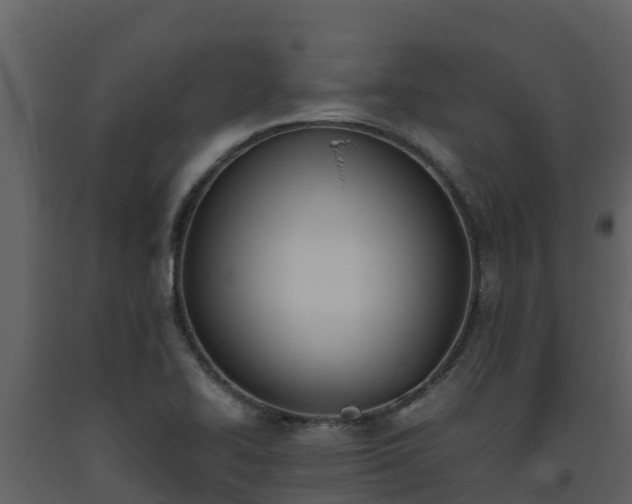 X0000093461414200710191114