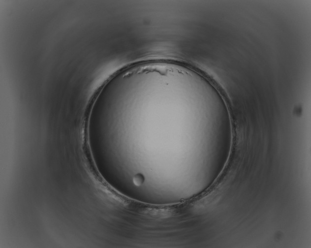 X0000093461415200710191115