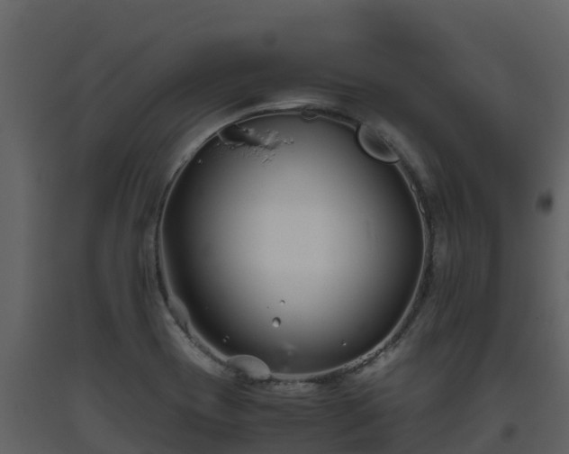 X0000093461417200710191115