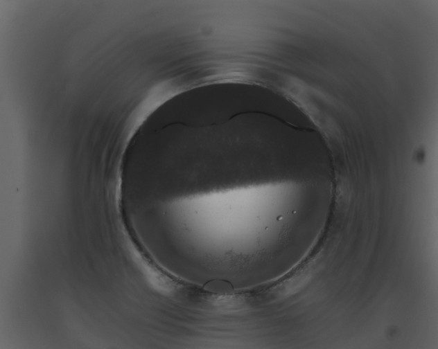 X0000093461418200710191115