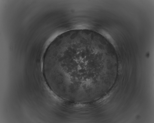 X0000093461419200710191115