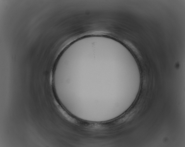 X0000093461420200710191115